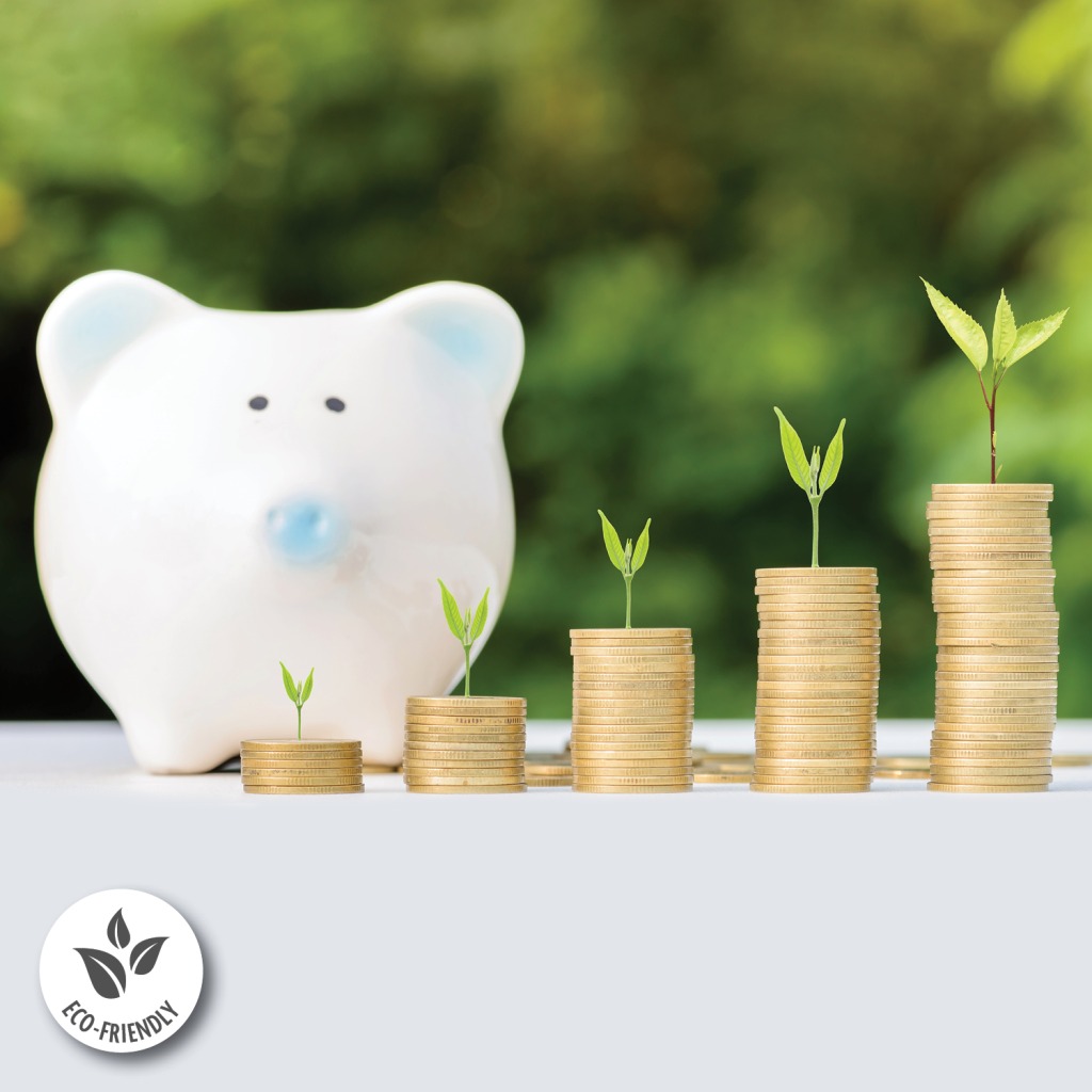 5 Ways to Go Green on a Budget